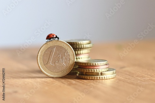 Geldstapel (Euro) mit Marienkäfe, Symbol für finanzieller, wirtschaftlicher Erfolg, Geld Einnahmen, Haushaltskasse, Finanzen, Steuererklärung, Konzept, Gehalt, selbstständig, Aktien, Gewinn, Dividende