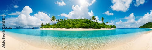 Panorama of a tropical island with palm trees and a sandy beach