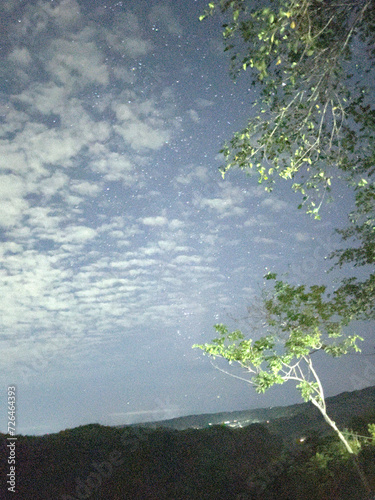 leaves on the ground, night sky with stars, wide angle view