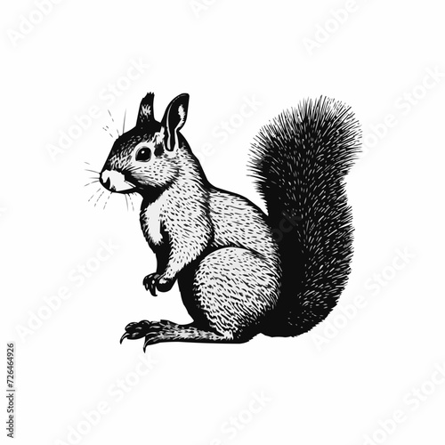 Realistic vector illustration of squirrel black and white | Silhouette of squirrel