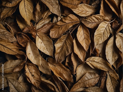 Dried leaves surface texture background from Generative AI