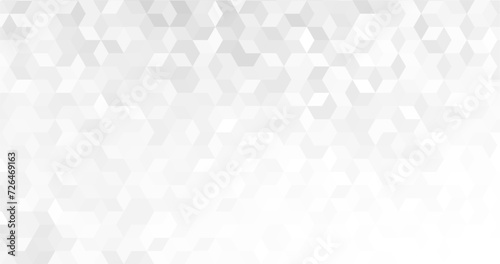 abstract modern white and grey elegant hexagons background