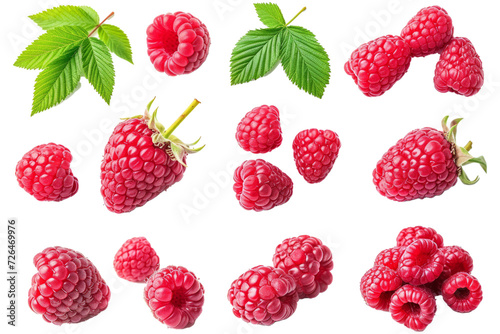 Collection or set of various fresh ripe raspberries