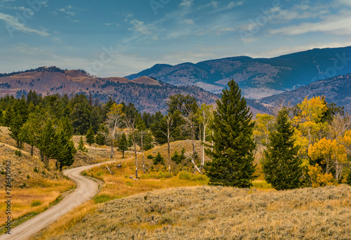 A fall landscape of a narrow road running through the valleys of Yellowstone National Park. Evergreens and yellow aspens contrast with the brown grass. The hills and mountains are in the distance.  © Donna Bollenbach