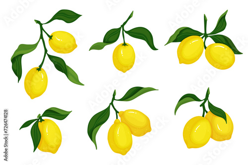 Set of juicy ripe citrus lemon fruit. Vector graphics.