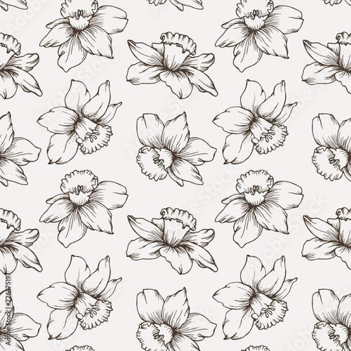 Seamless pattern, hand drawn outlines of narcissus flowers on a light background. Background, print, textile, wallpaper, vector