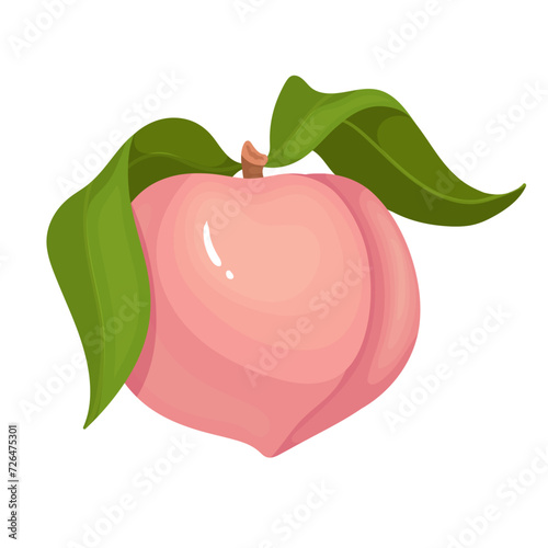 Juicy, ripe peach, nectarine fruit.Vector graphics.