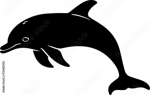 dolphin isolated on white background