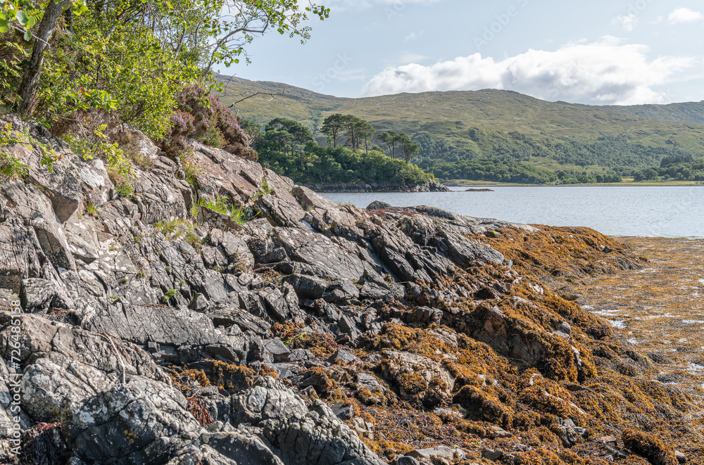 The coastline of Sea Loch Sunart at Low Tide in the Highlands