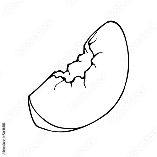 Linear sketch, contour of a slice, piece of peach, nectarine fruit. Vector graphics.
