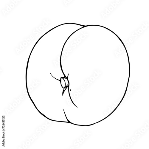 Linear sketch, outline of peach, nectarine fruit.Vector graphics.