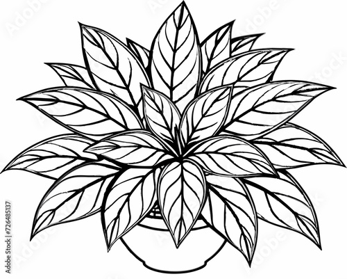 plant herb houseplant room plant vector flower seedling grass greenery perennial sprout