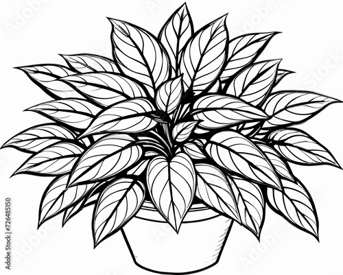 plant herb houseplant room plant vector flower seedling grass greenery perennial sprout