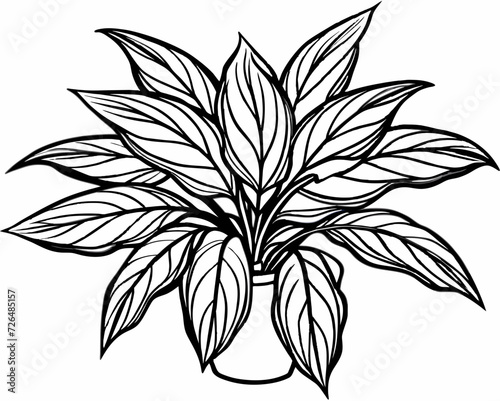 plant herb houseplant room plant vector flower seedling grass greenery perennial sprout