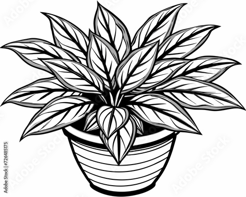plant herb houseplant room plant vector flower seedling grass greenery perennial sprout