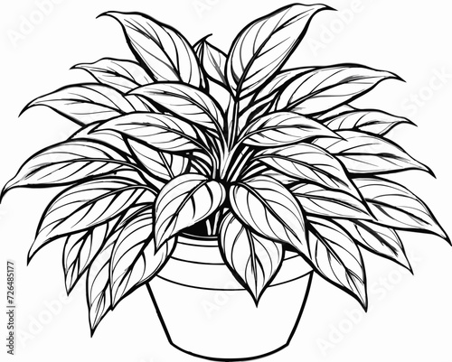 plant herb houseplant room plant vector flower seedling grass greenery perennial sprout