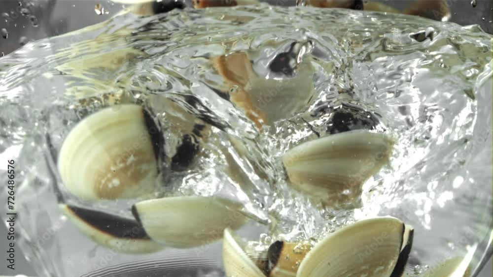 The Vongole falls into the water with splashes. Filmed on a high-speed camera at 1000 fps. High quality FullHD footage The Vongole falls into the water with splashes. Filmed on a high-speed camera at 1000 fps. High quality FullHD footage