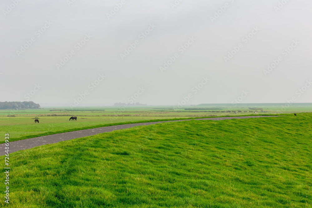 Bicycle lane and walkway, Green grass meadow on the dyke under cloudy sky, Dike between polder land and north sea with fog or mist in the morning, Dutch Wadden Sea island, Terschelling, Netherlands.