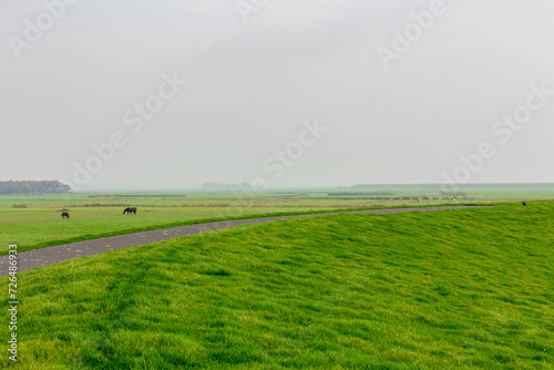 Bicycle lane and walkway  Green grass meadow on the dyke under cloudy sky  Dike between polder land and north sea with fog or mist in the morning  Dutch Wadden Sea island  Terschelling  Netherlands.