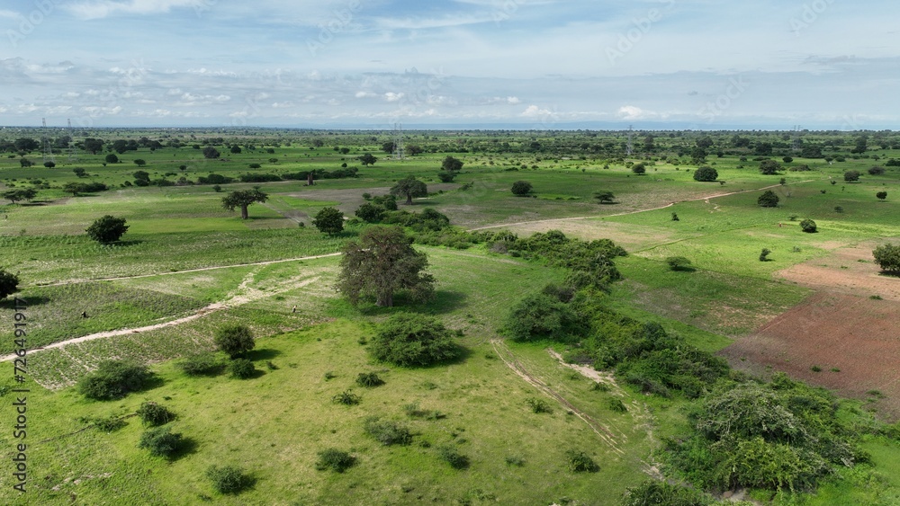 Seen from above, the African savanna is a breathtaking expanse of lush greenery, freshly revitalized by the recent rainfall. The verdant landscape sprawls across rolling hills and open plains, a vibra