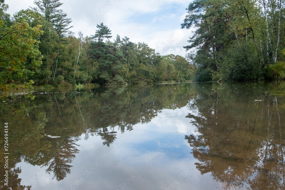 Obraz premium This image presents a tranquil lake scene where the still waters create a perfect mirror, reflecting the surrounding forest in exquisite detail. The symmetry between the trees and their reflections