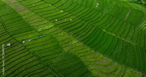 Rice Terrace, Canggu, Bali, Indonesia. Top view photo