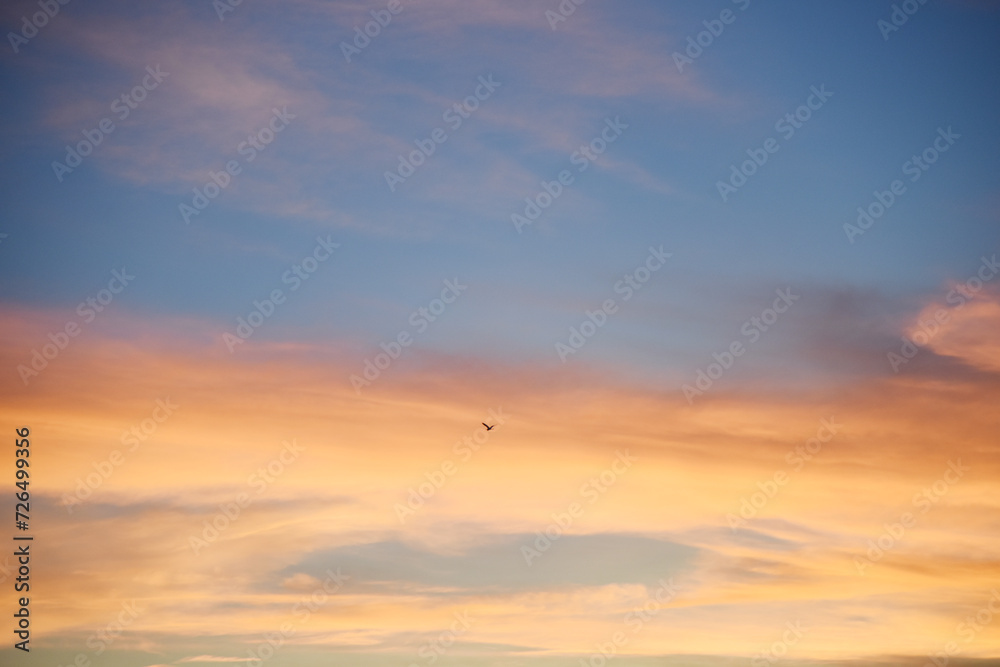 夕焼けに飛ぶ一羽の鳥のシルエット　青　オレンジ　グラデーション　空　風景　鳥　