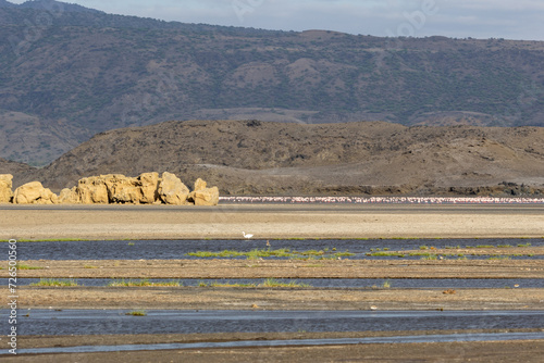 Lake Natron, the largest lake in the East African Rift Valley in Tanzania and to a small extent in Kenya, known for its pink flamingos
