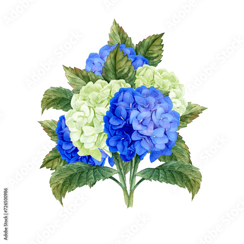 blue-green Watercolor Bouquet of hydrangea