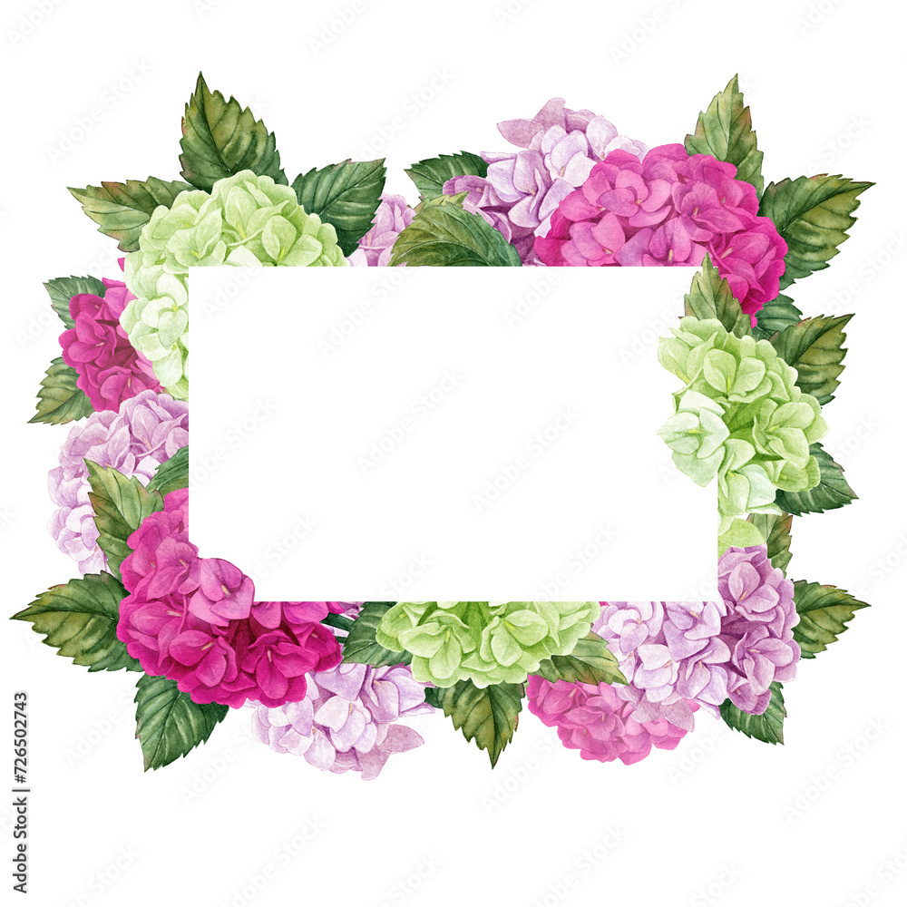 Square vignette of pink-green Hydrangea buds