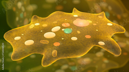 amoeba unicellular organism 3d illustration. eukaryotic organisms photo