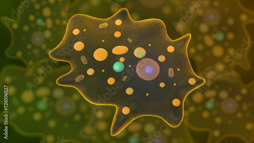 Obraz na plátně amoeba unicellular organism 3d illustration. eukaryotic organisms