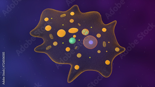 Fotografie amoeba unicellular organism 3d illustration. eukaryotic organisms