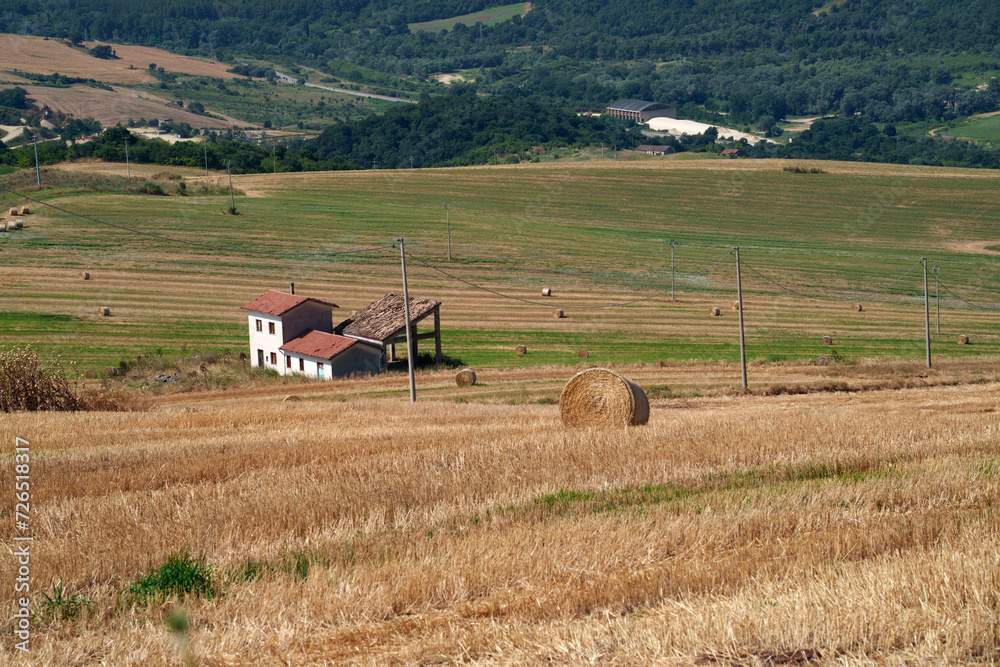 Fototapeta premium Country landscape near Melfi, Basilicata, Italy