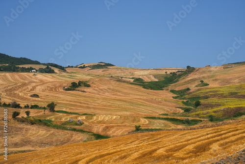 Country landscape near Rocchetta Sant Antonio, Apulia, Italy