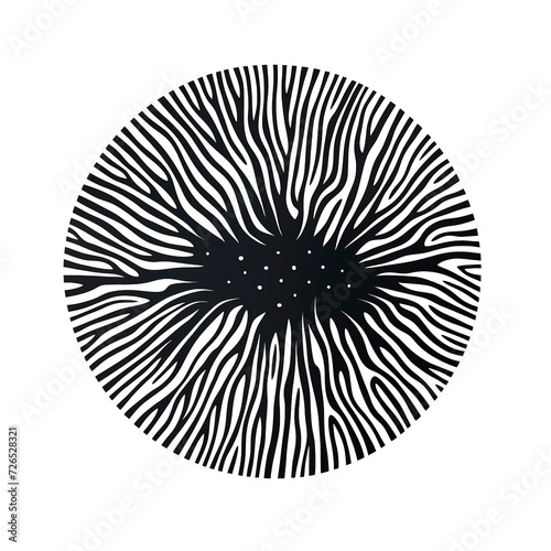 Abstract black and white line doodle circle shape