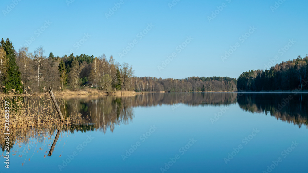 sunny spring landscape with calm lake, first green of spring in trees and grass