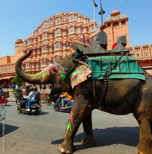 Canvas Print Indian Elephant in the pink city of Jaipur in INdia