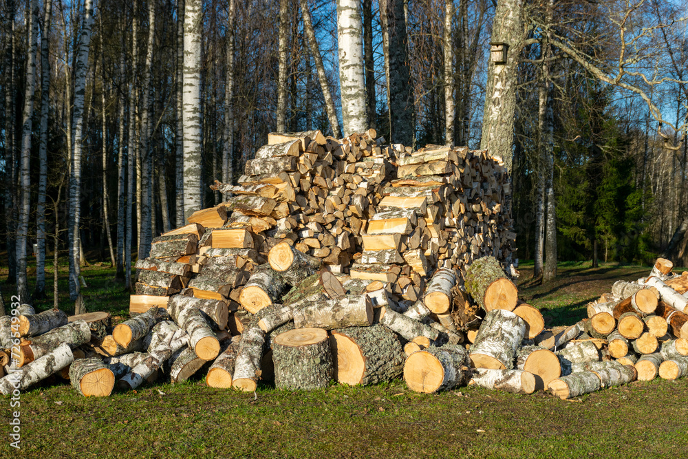 view of processed firewood degree, heating concept, home heating with firewood