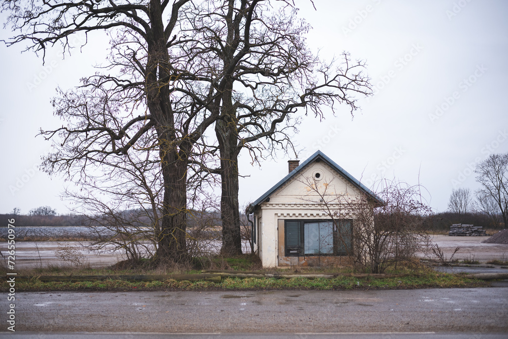 Old abandoned house on the edge of a storage location in winter time. Two large trees without leaves next to the building