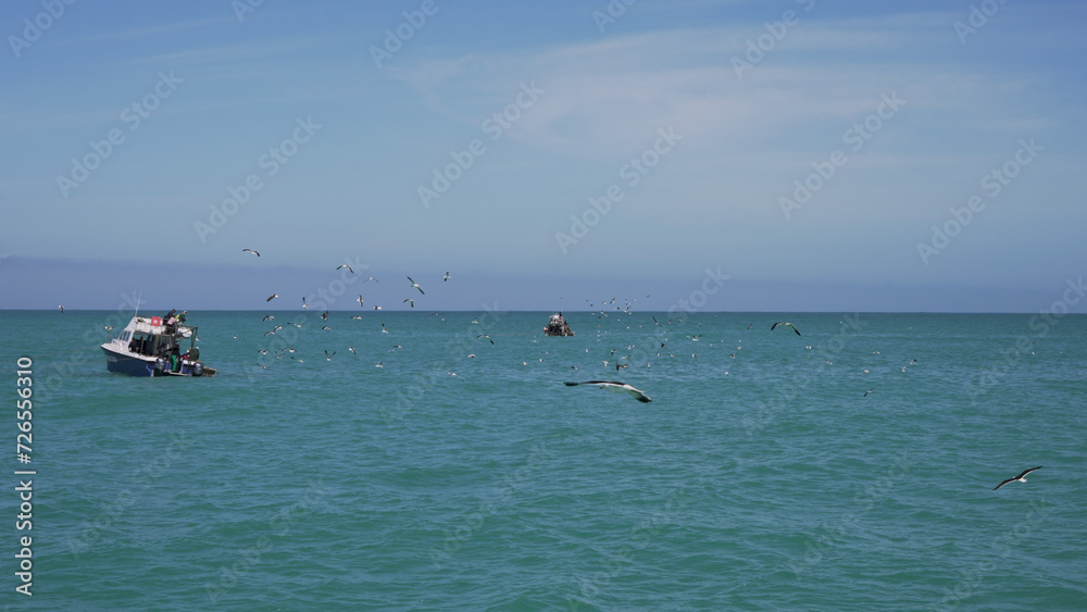 A flock of birds soar above the endless ocean, as people below surf the waves and boats float peacefully on the sparkling water