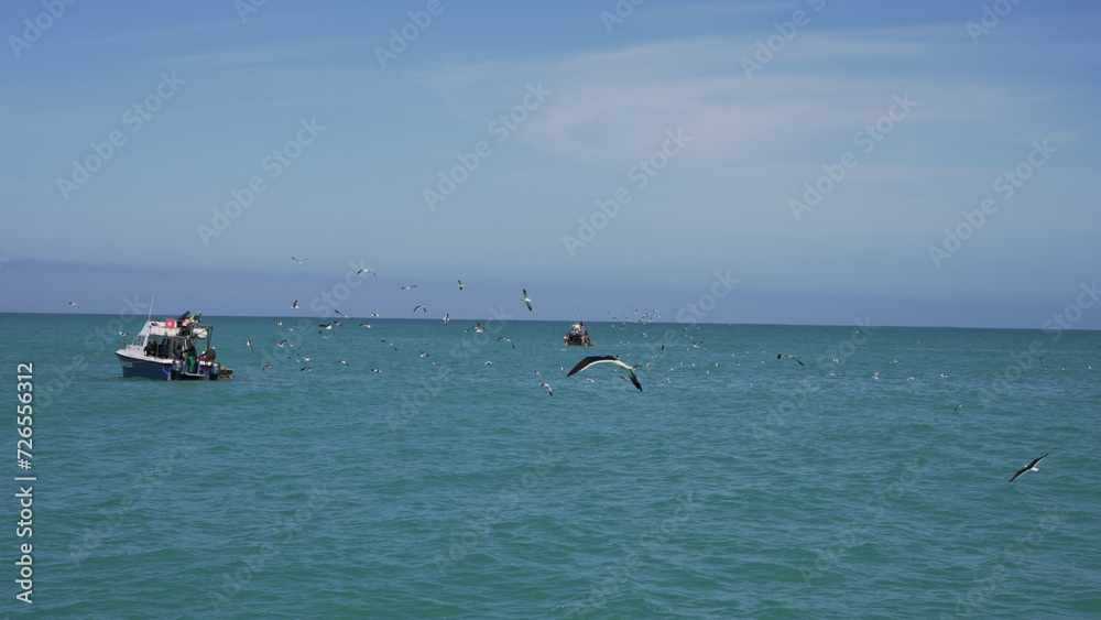 A majestic flock of birds glides over the sparkling ocean, as people enjoy the sea breeze and the thrill of water sports below