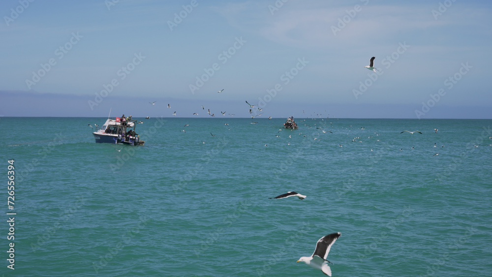 A flock of majestic sea gulls gracefully glides over the crystal blue ocean, as a lone boat floats peacefully on the horizon of this picturesque beach
