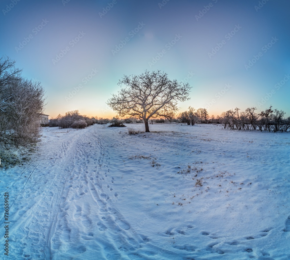 Picture of a snow-covered path in a wintry forest in the evening
