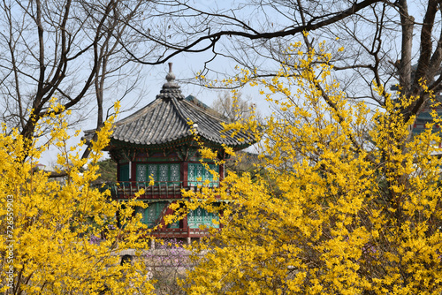 서울 경복궁의 봄 © otto Song