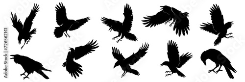 set of silhouettes of crow Fototapeta