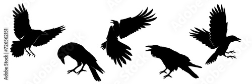 set of crow