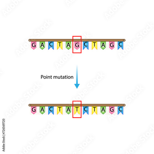 Point mutation, error during DNA replication. Deletion, Insertion, Inversion, Substitution Scientific design, Vector illustration.	
