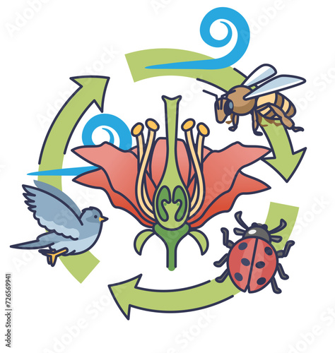 Clipart illustration showcasing the natural pollen cycle with flower and a bee