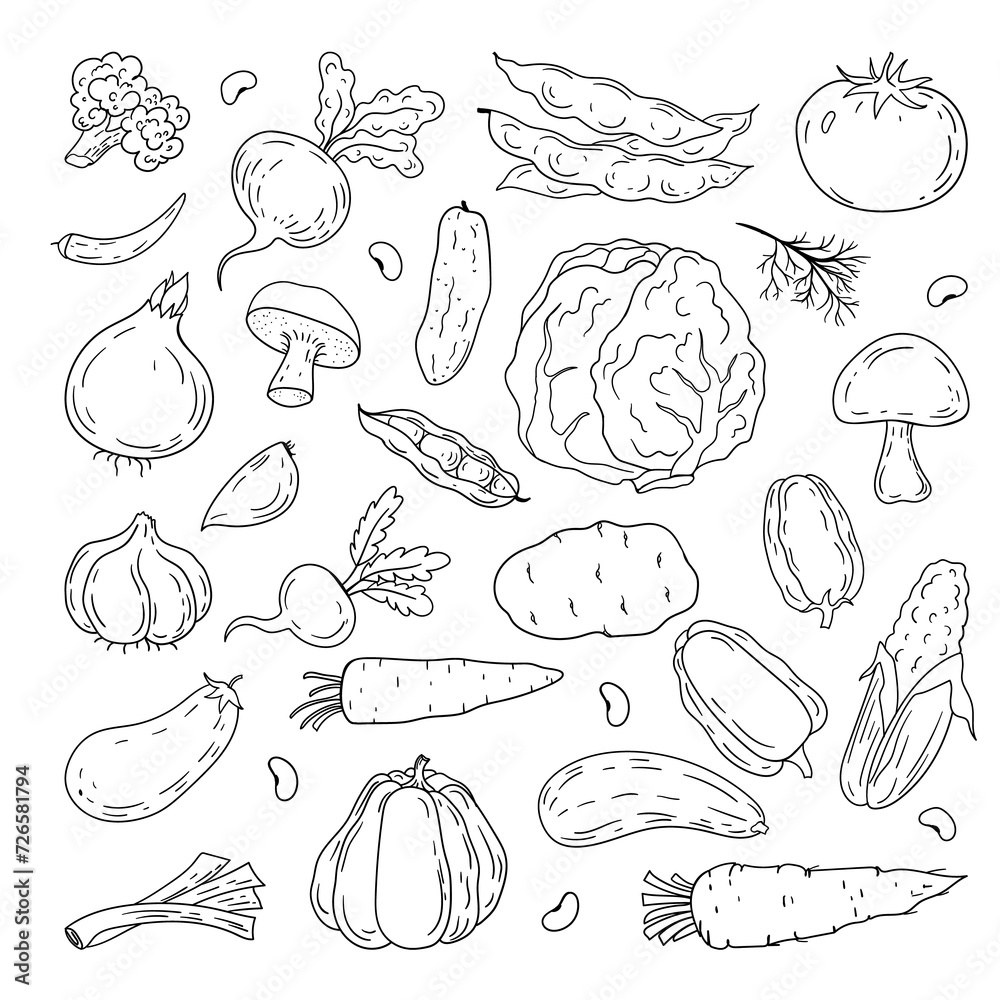 Vector hand drawn vegetables icons set.